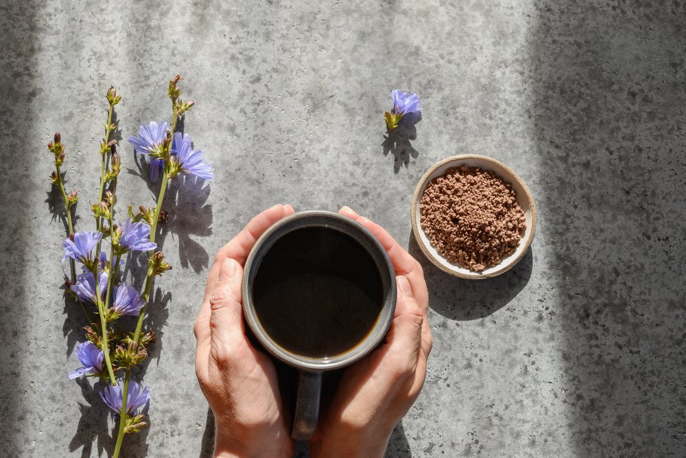 Cichoreikoffie - cafeïnevrije koffie