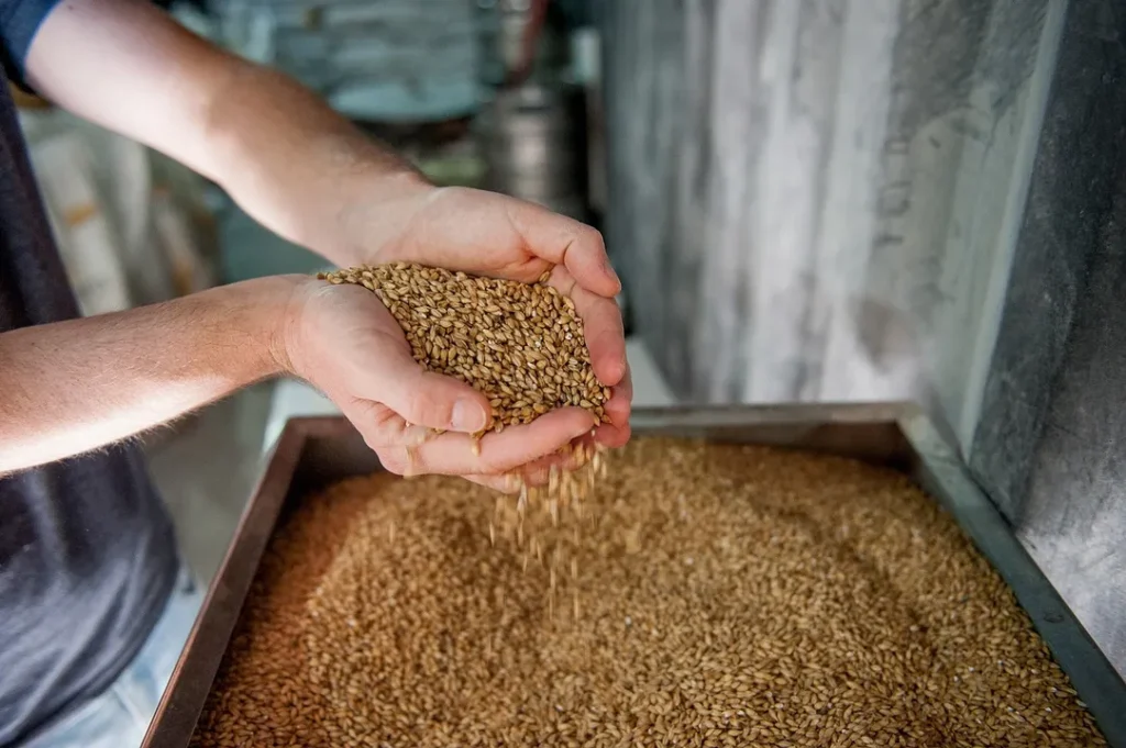 Koffie van gemoute gerst - cafeïnevrije koffie optie